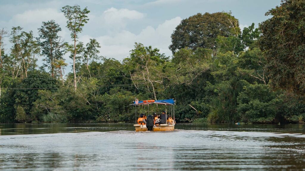 Your experience at Bongawan River Cruise
