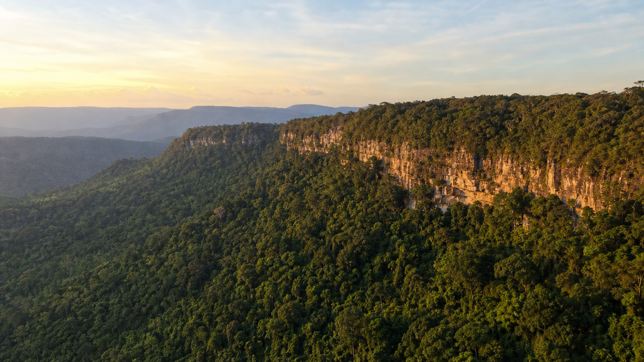Planning a Khao Yai Day Trip From Bangkok