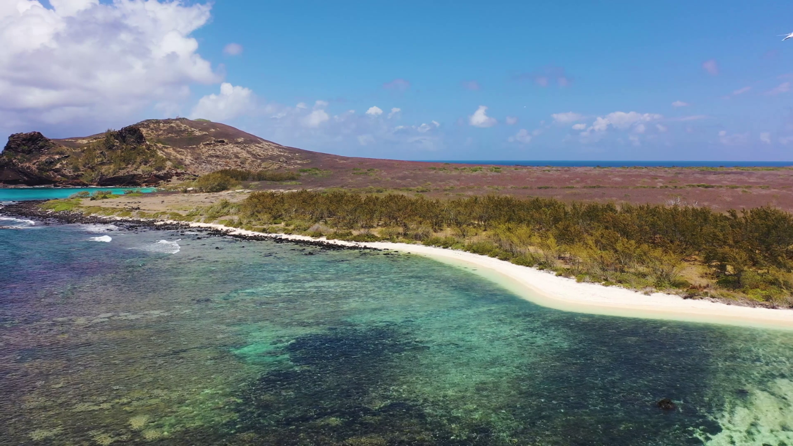 Flat Island