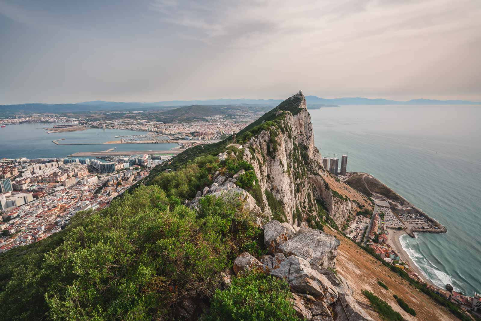 Dolphin Watching Gibraltar in the Bay
