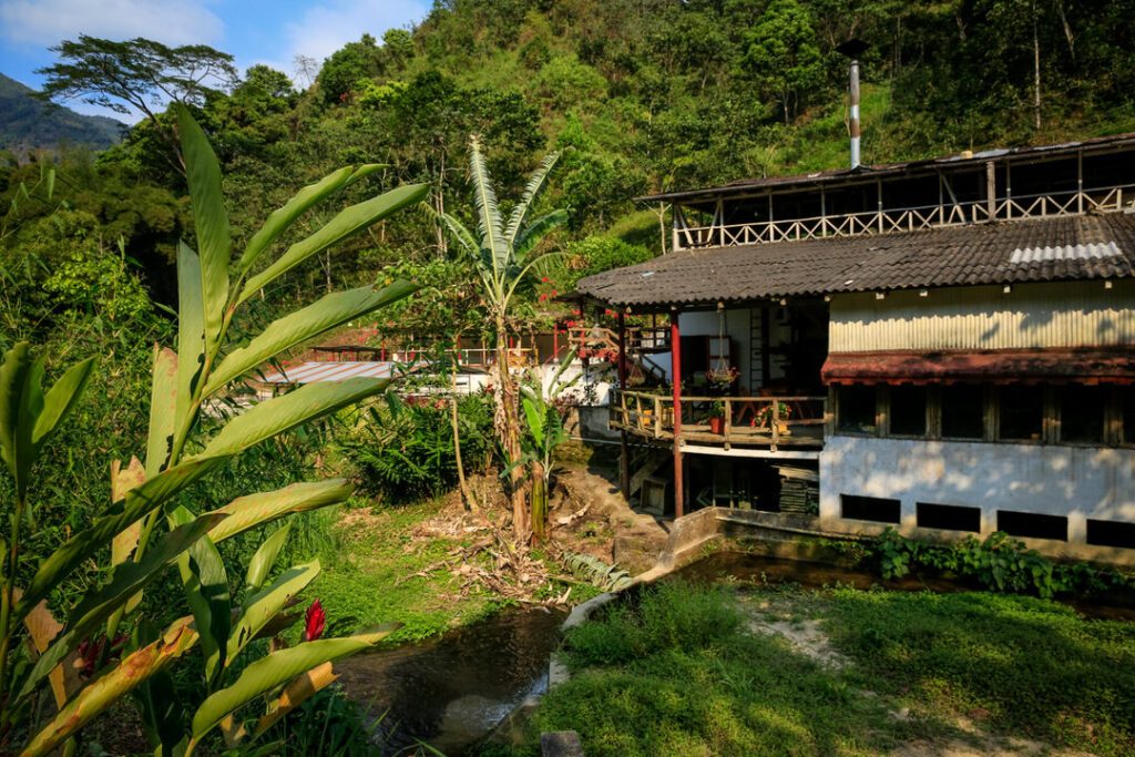 Minca Coffee Tour in the Sierra Nevada