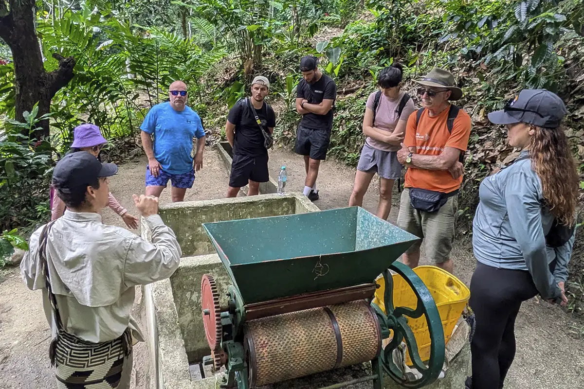 Minca Coffee Tour