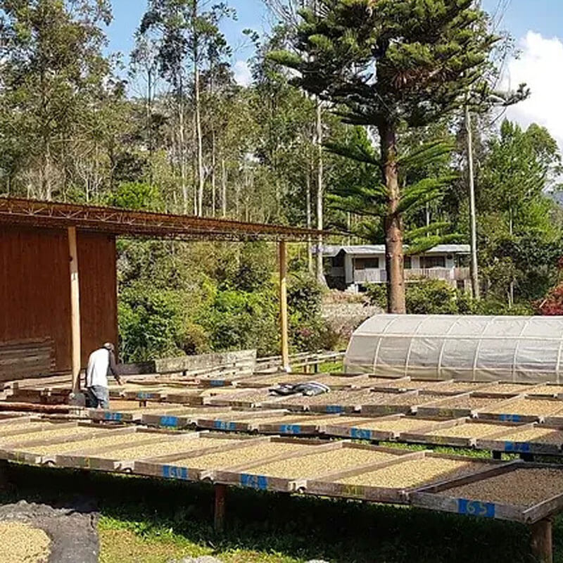 The Production Facility