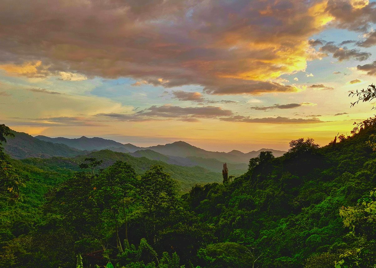 The Mountain Lookout