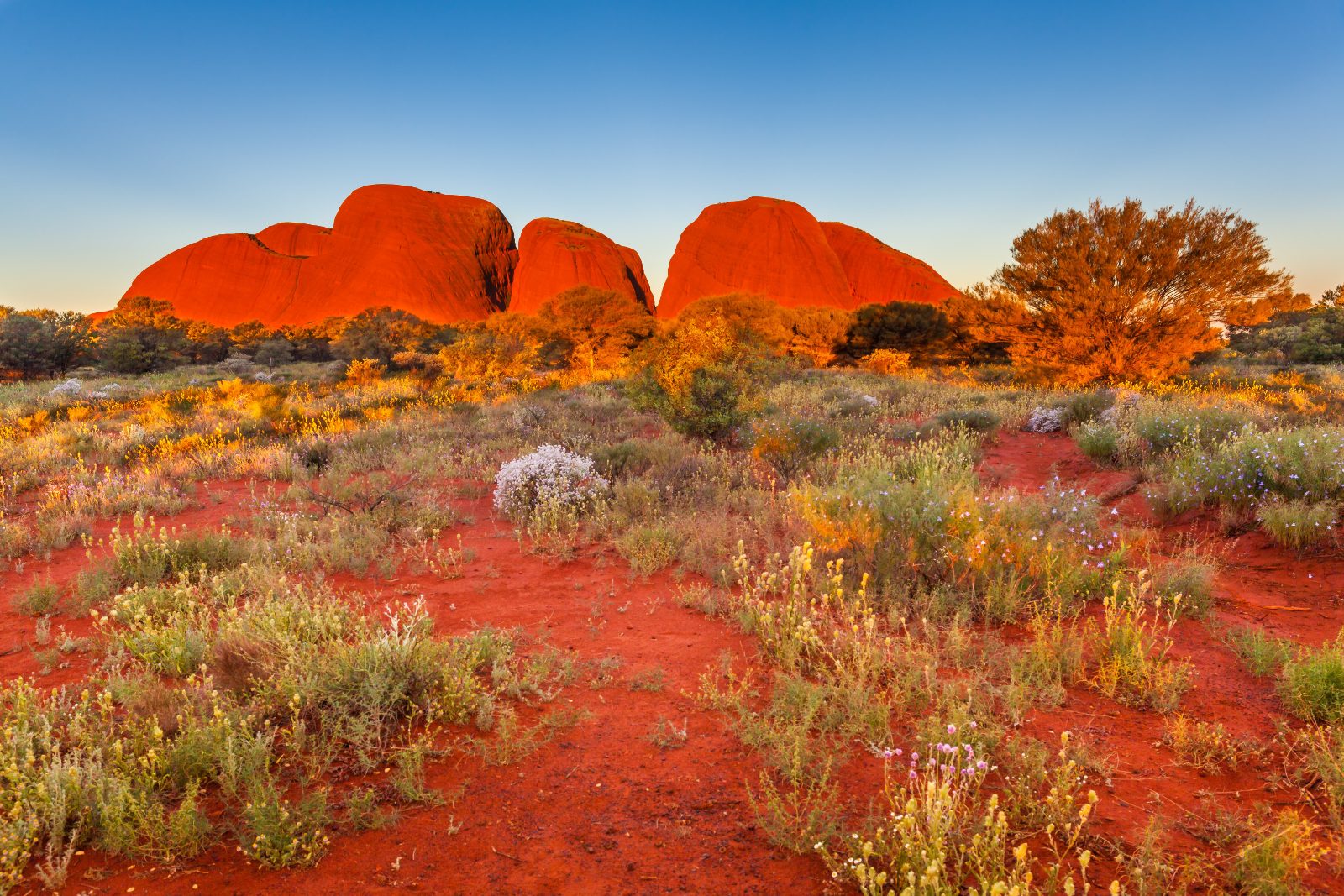 Kata Tjuta