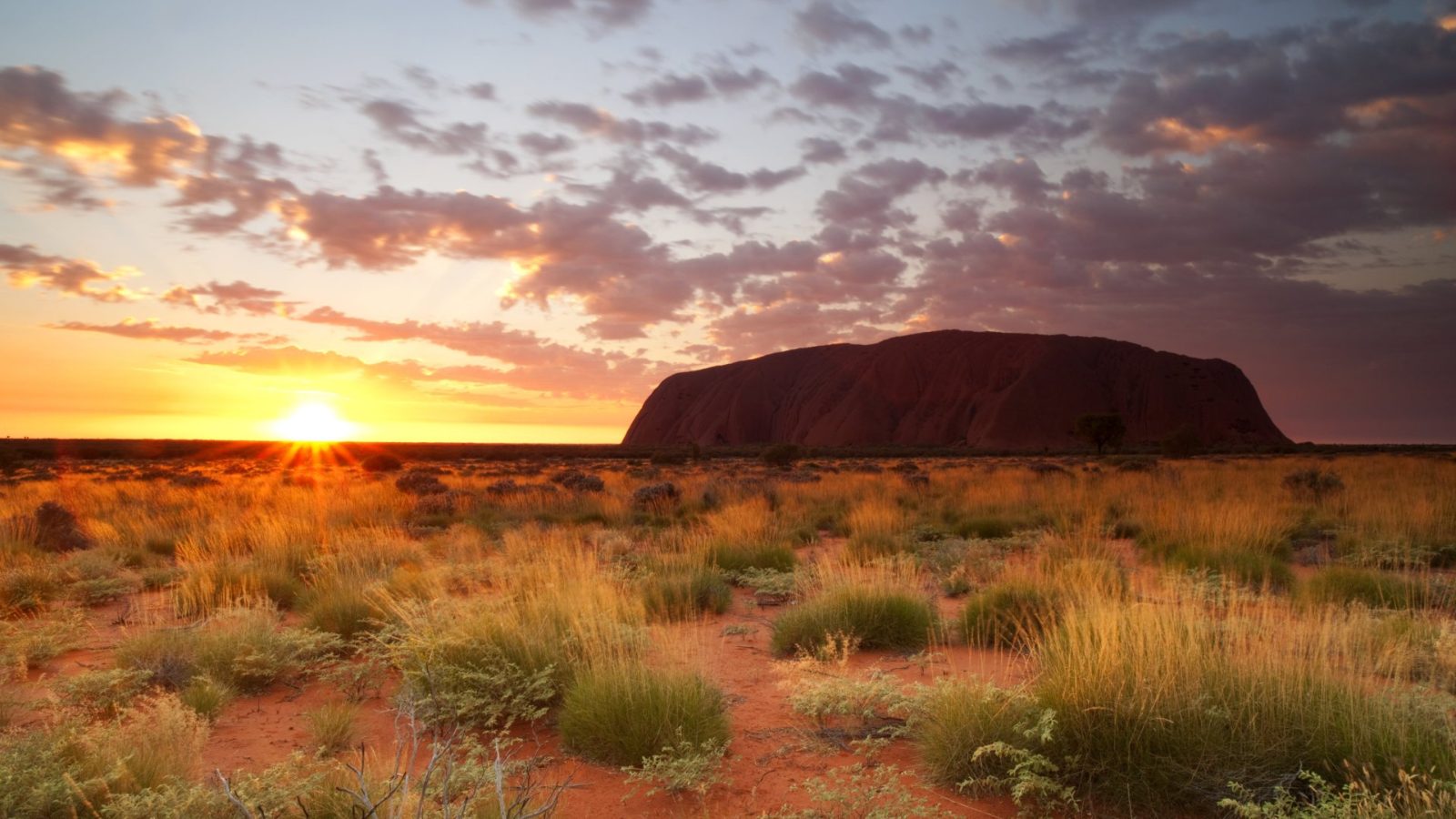 What Your Uluru Sunrise Tour Includes