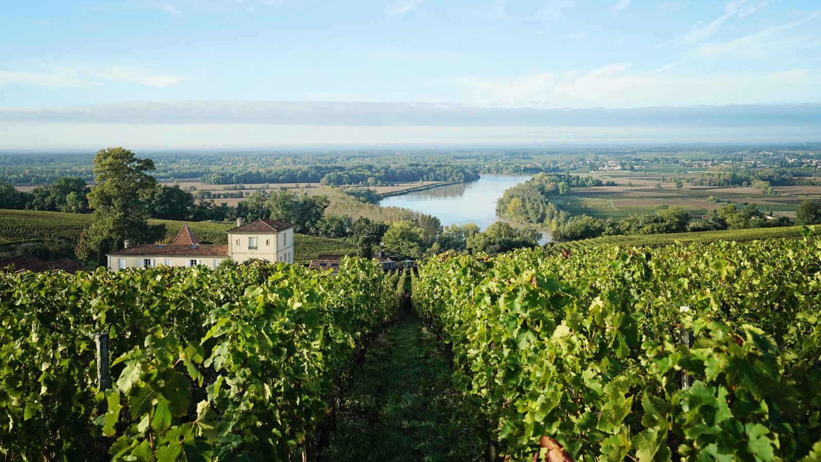 Medoc Wine Tour