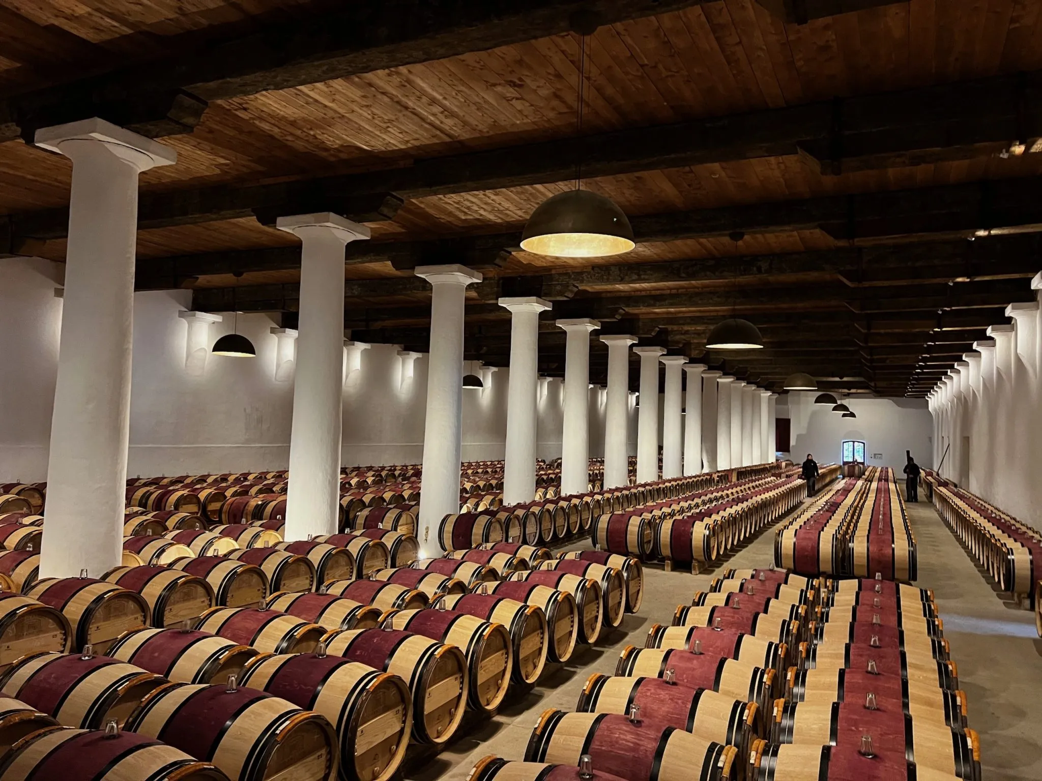 Your experience at Medoc Wine Tour