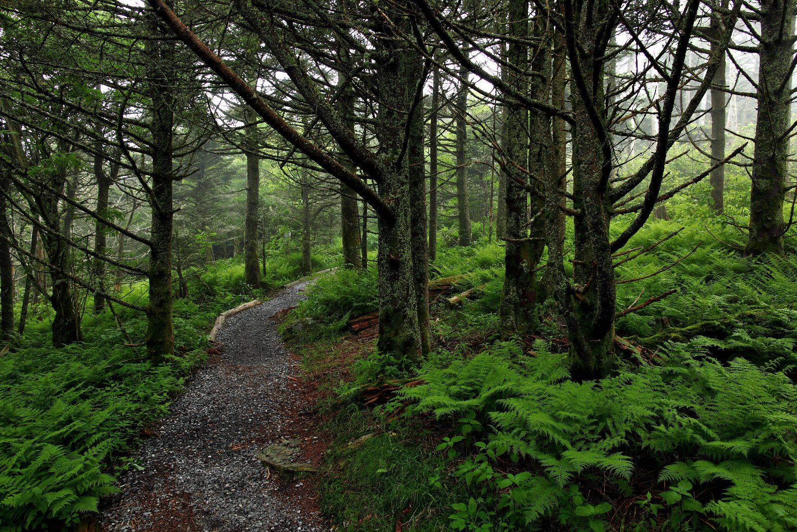 Hiking Trail