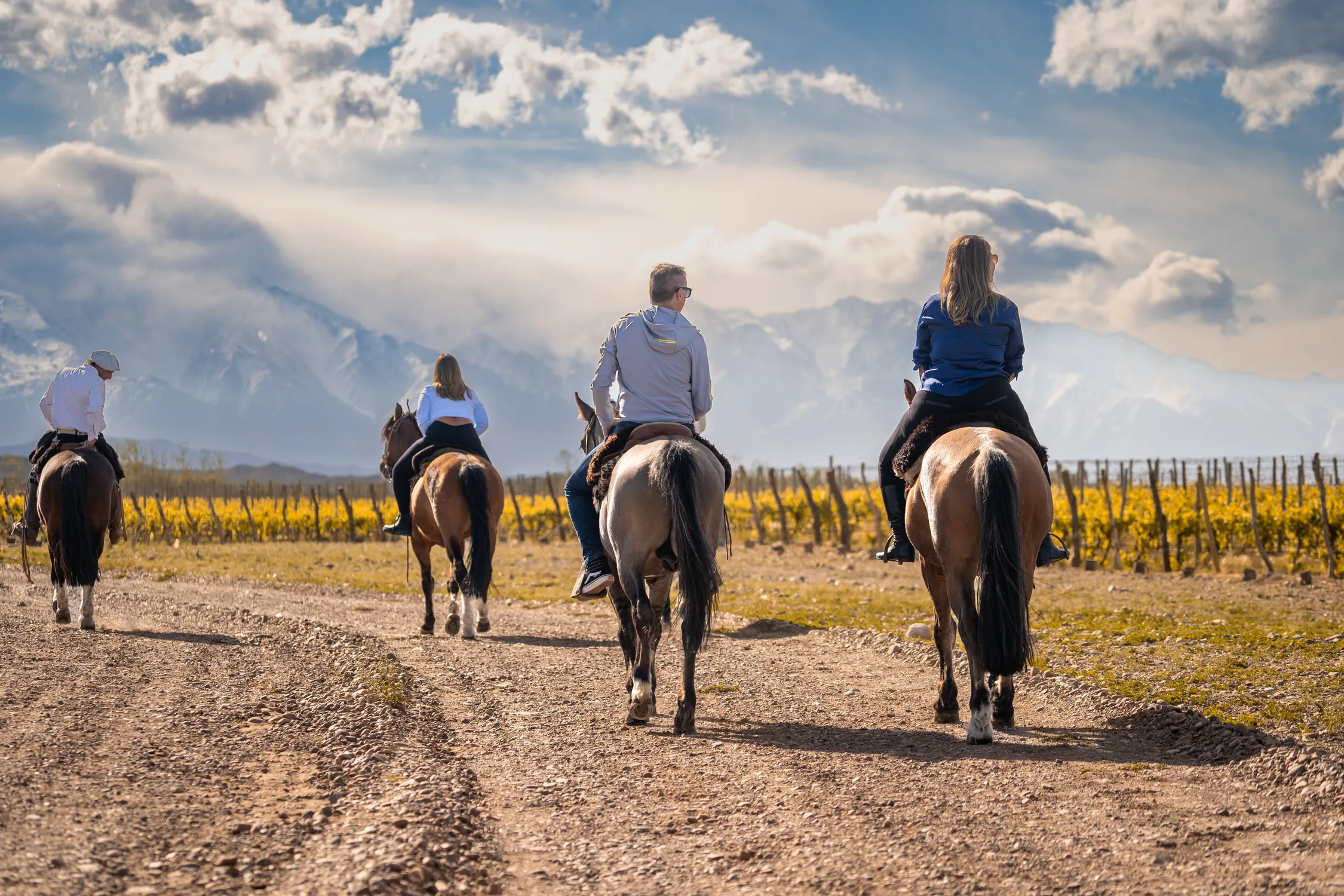Your experience at Horseback Riding Mendoza