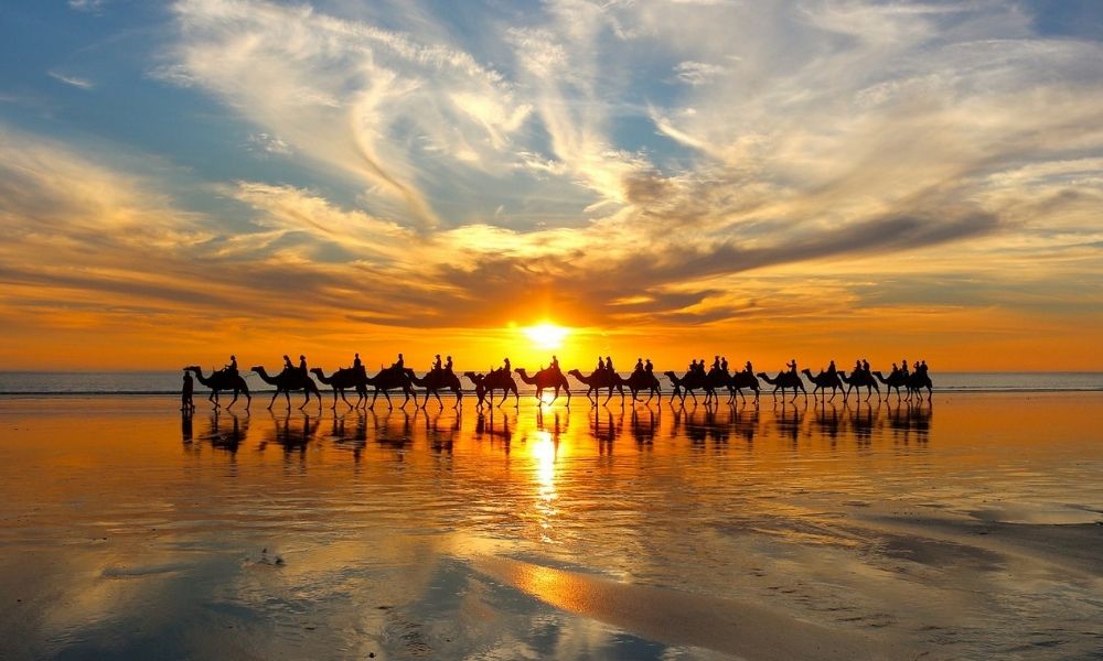 Your experience at Broome Camel Ride