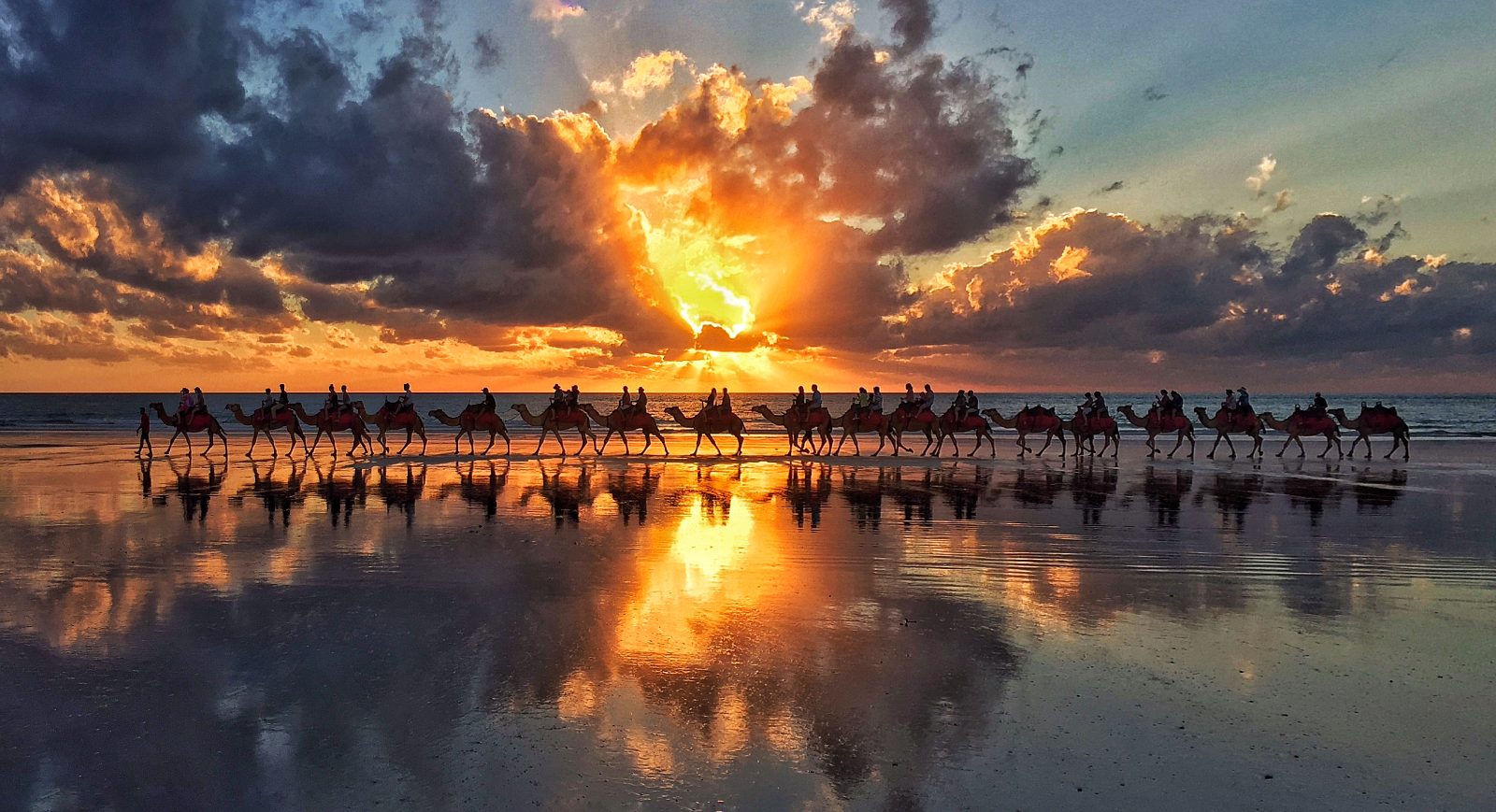Broome Camel Ride