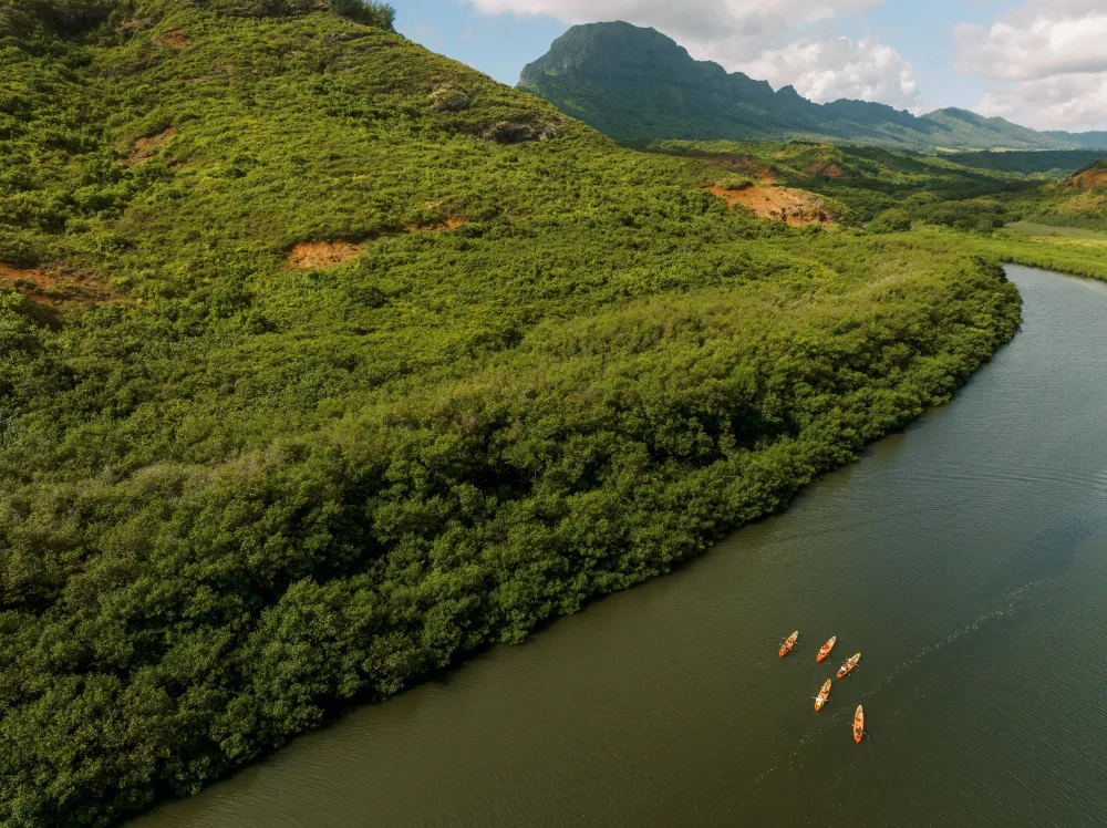 Your experience at Secret Falls Kayak Tour