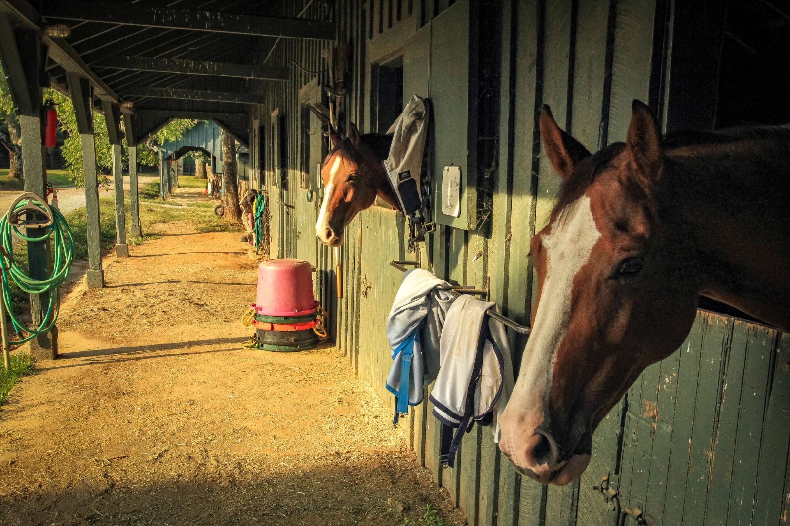 Your experience at Lexington Horse Farm Tours