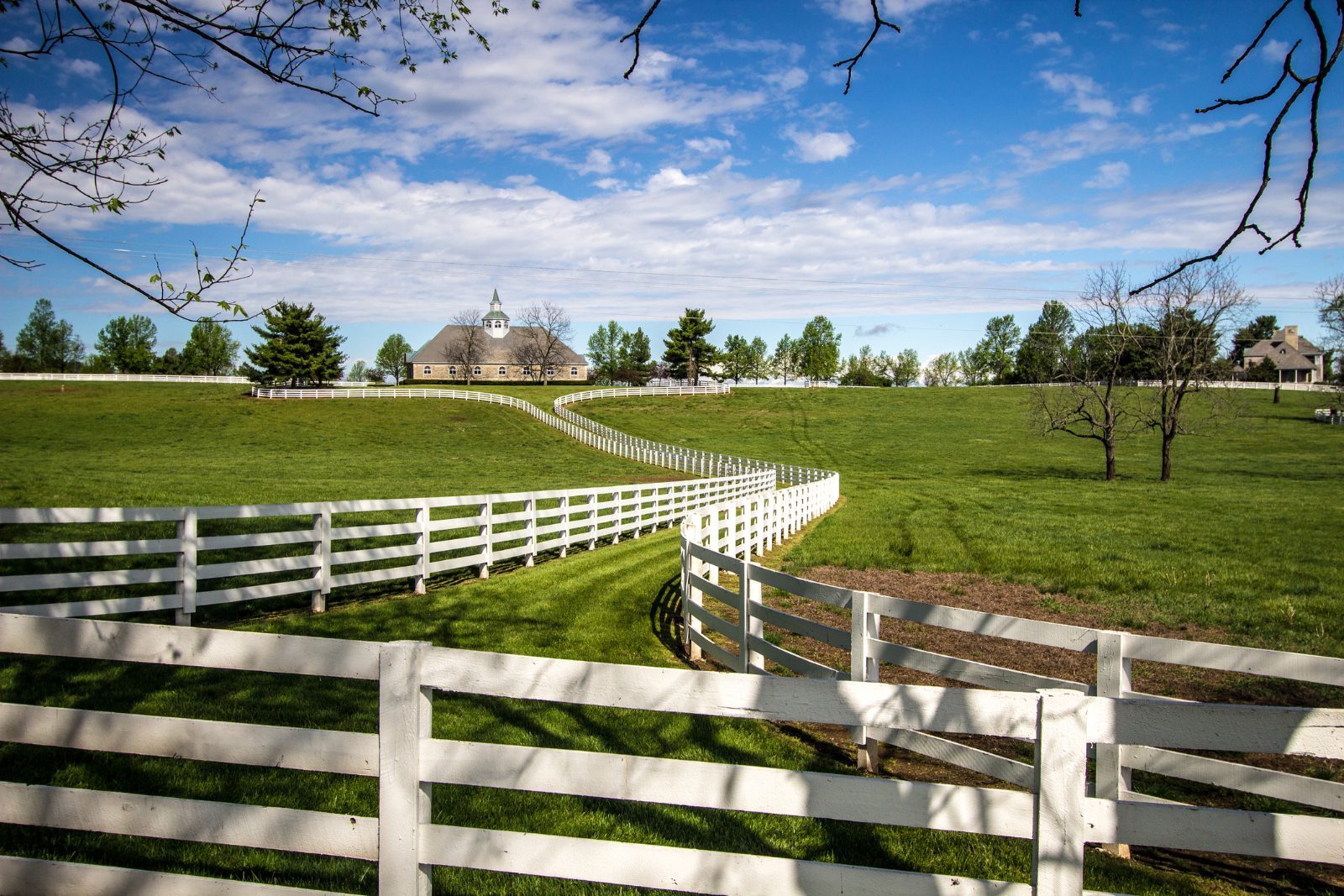 Lexington Horse Farm Tours in Bluegrass Country