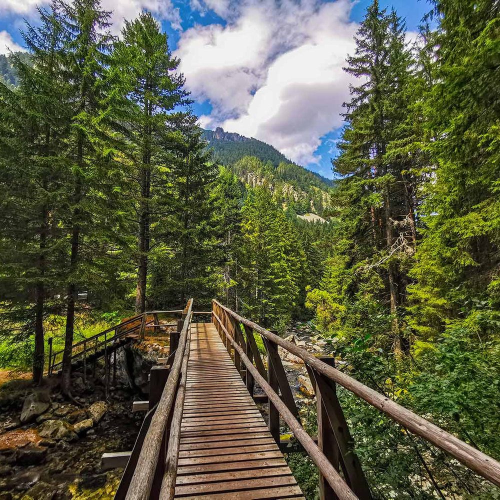 Eco Trail