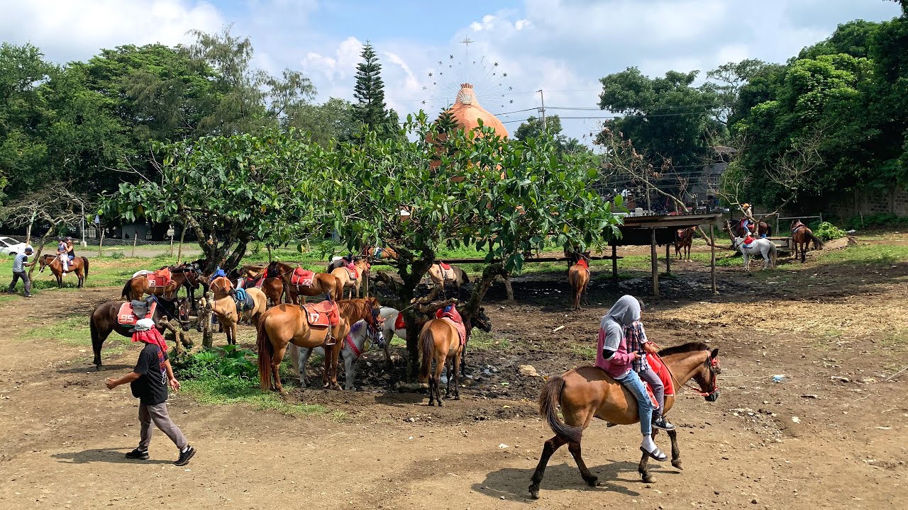Horseback Riding Area