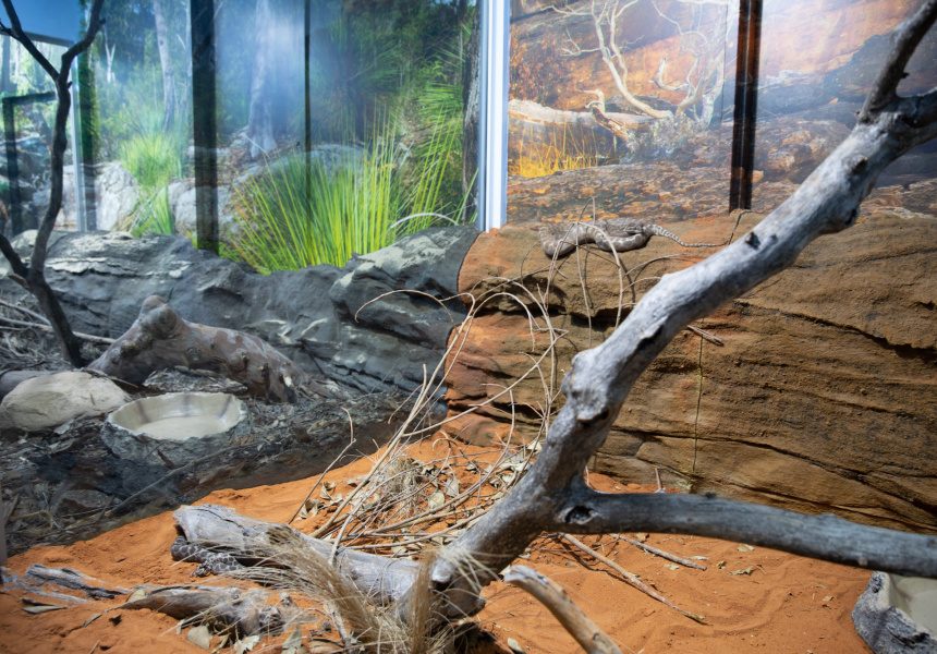 Reptile House