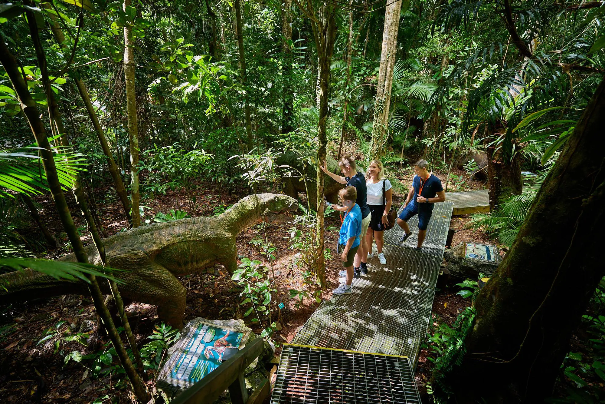 Daintree Rainforest