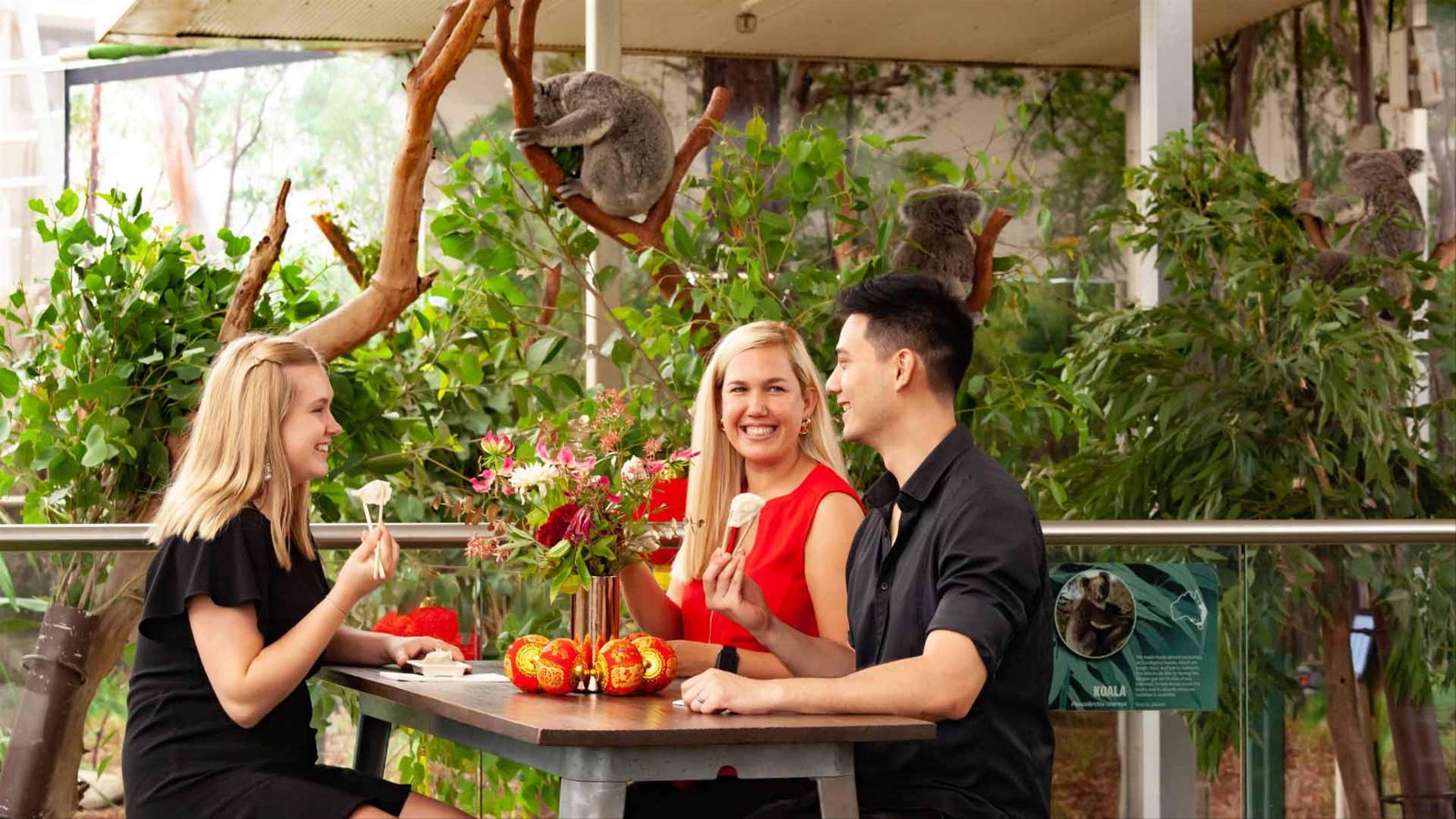 Your experience at Breakfast With Koalas Sydney