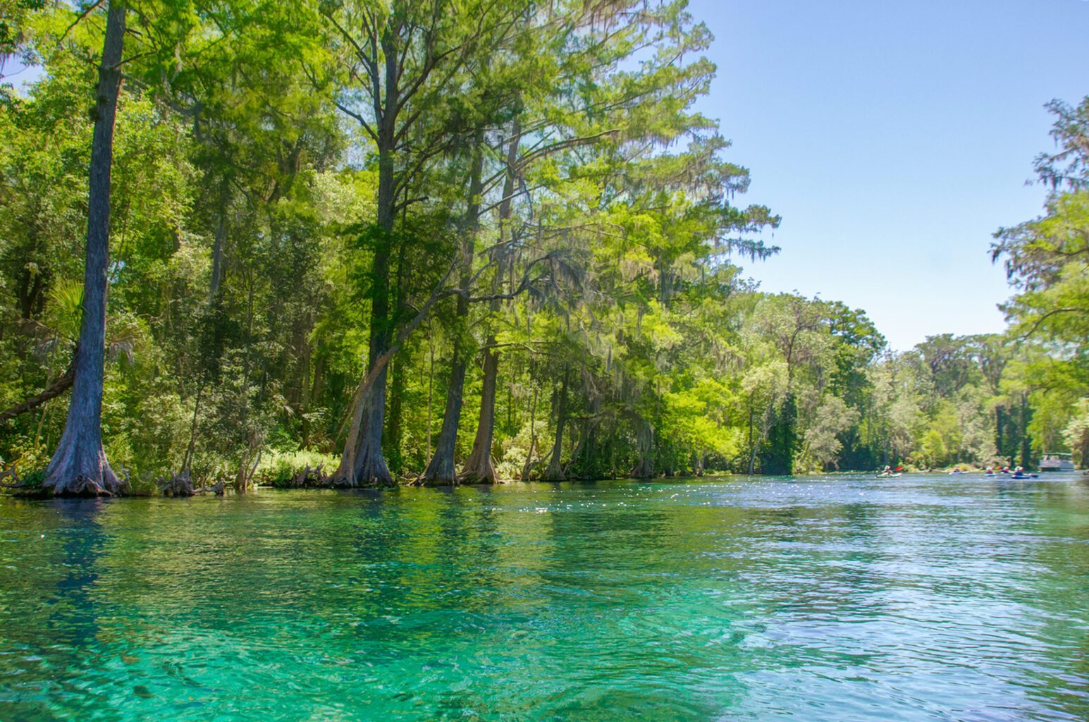 Silver River