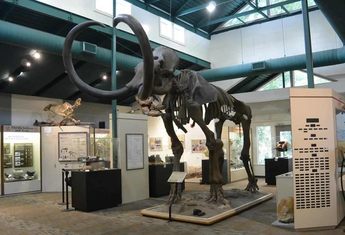 Silver River Museum