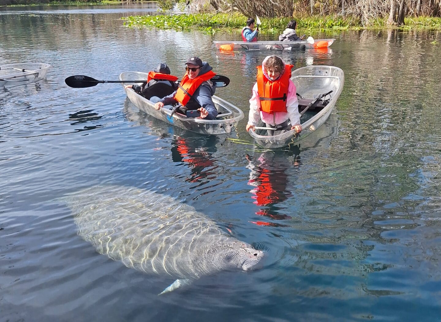 Your experience at Silver Springs Clear Kayak Tour