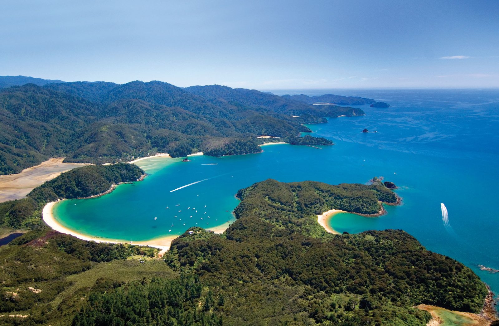 Abel Tasman Cruise: Golden Bays and Granite Coast