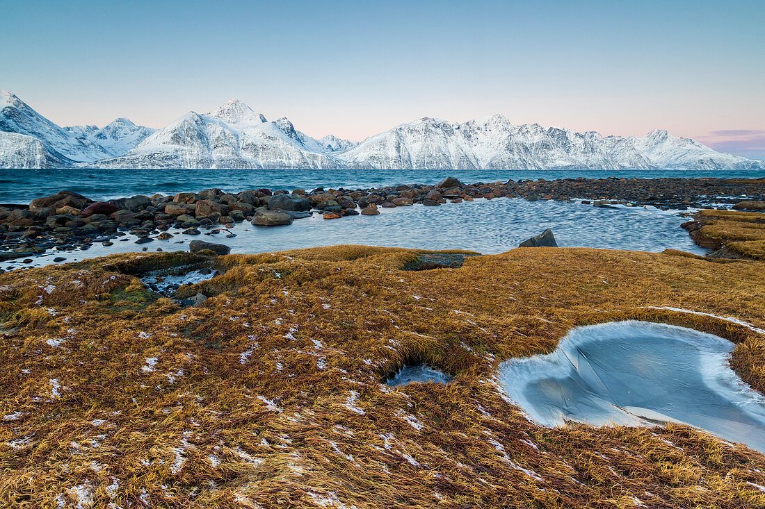 Frozen Alpine Streams