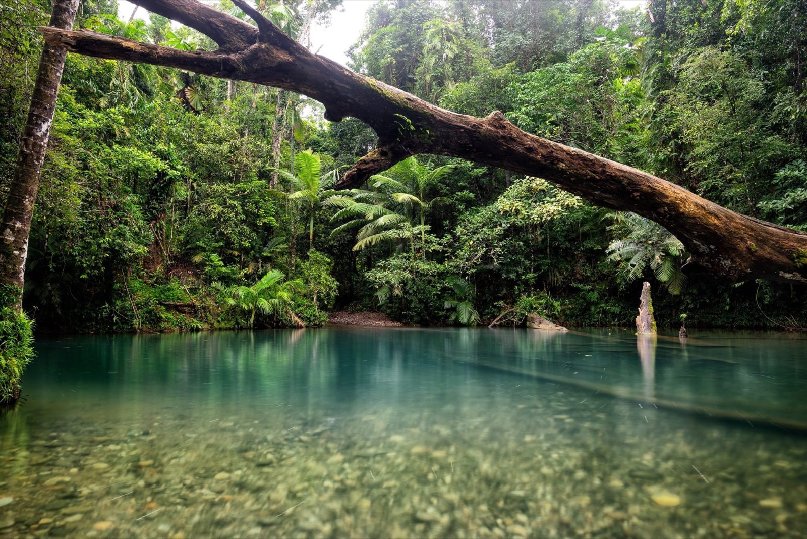 Mossman Gorge