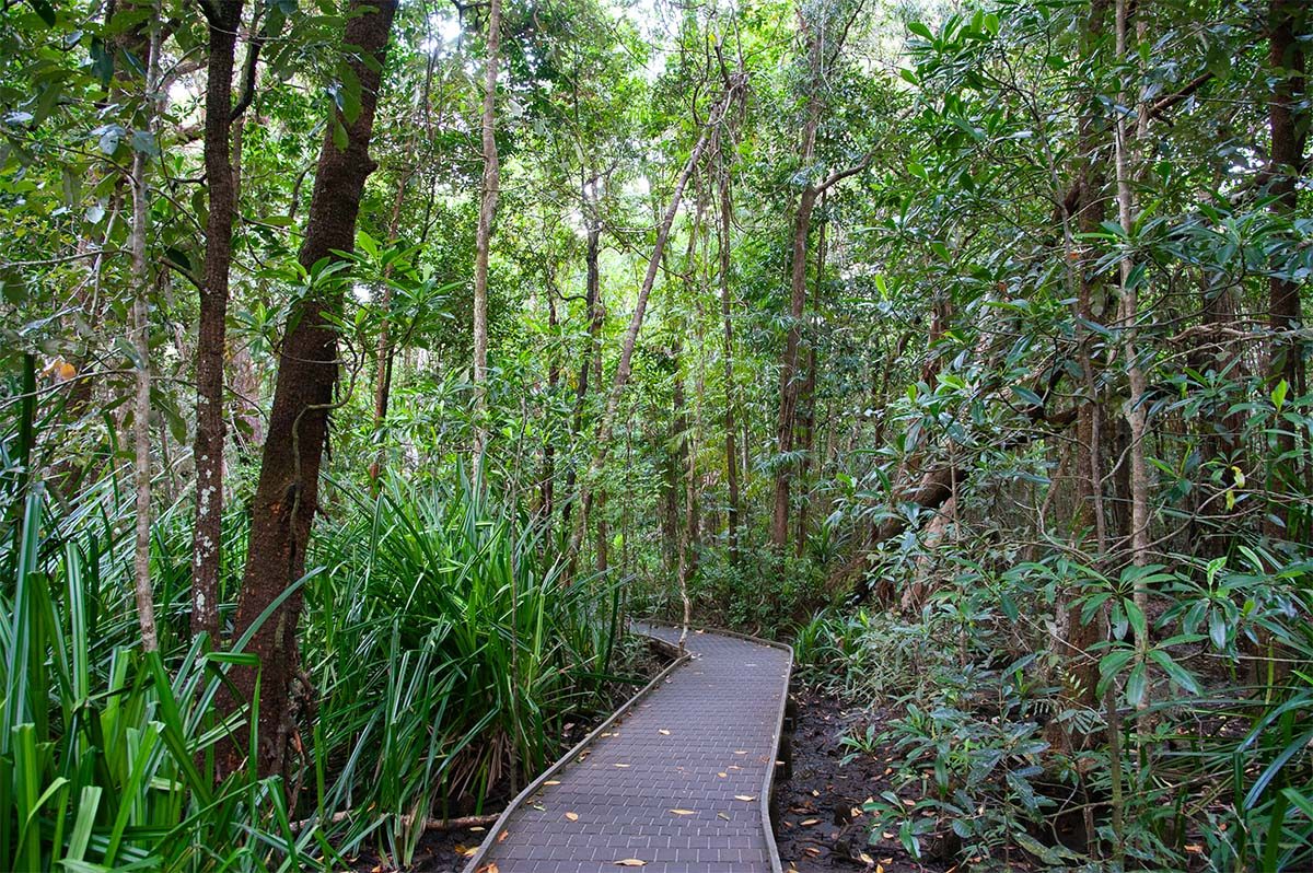 Dubuji Boardwalk