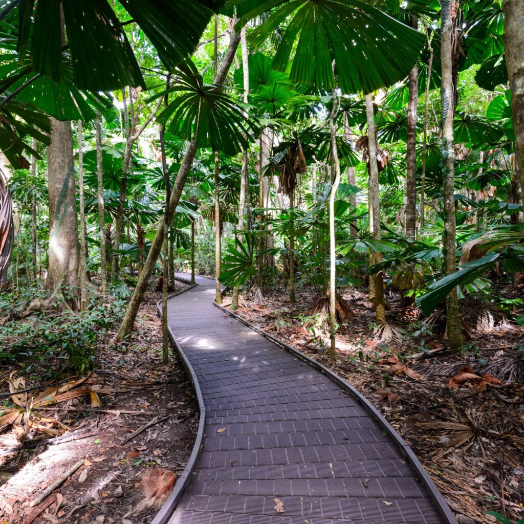 Dubuji Boardwalk