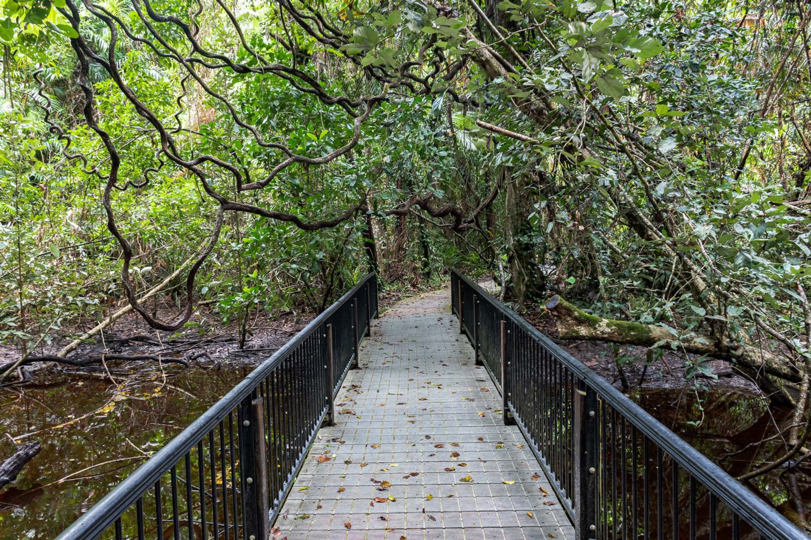 Kulki Boardwalk