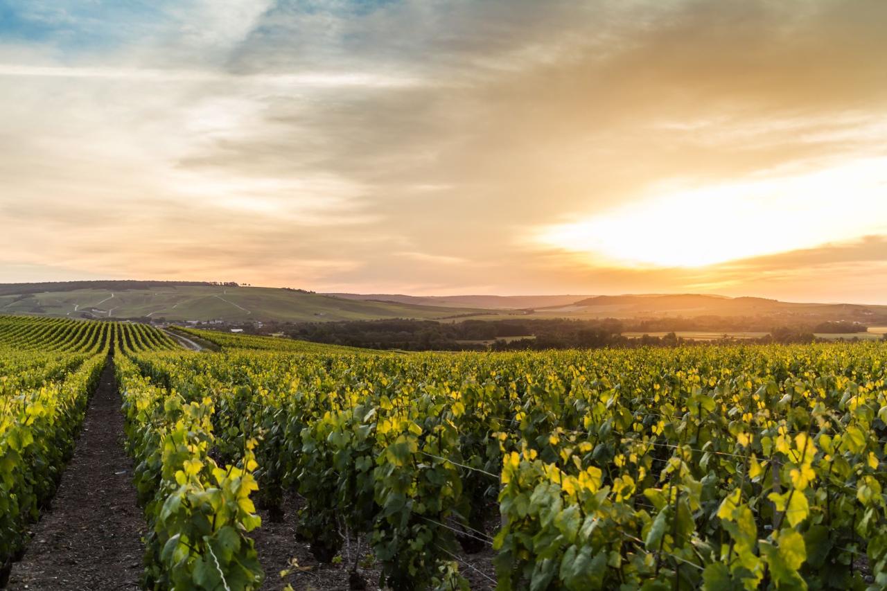 Epernay Champagne Tours