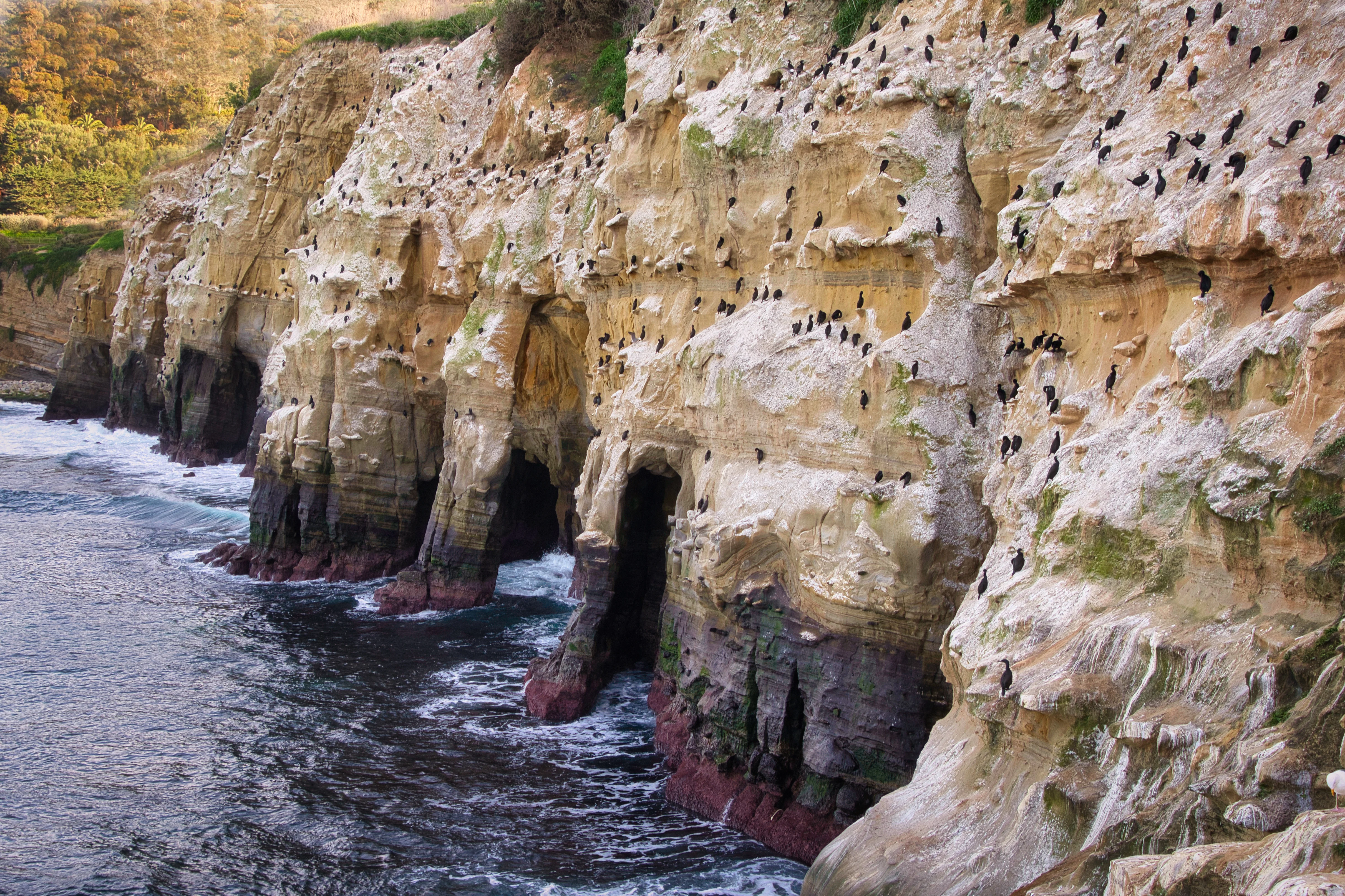 Cave Exploration