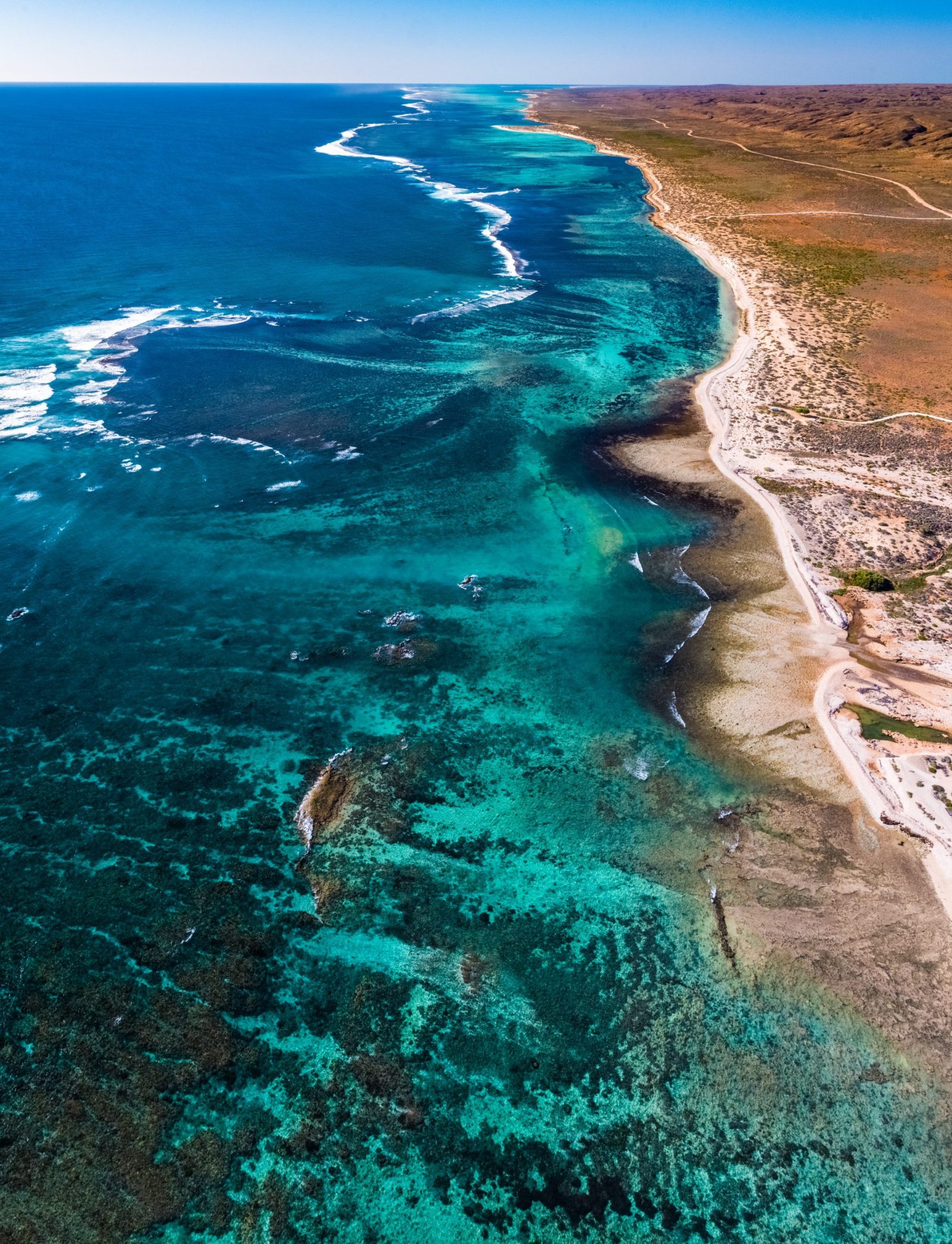 Exmouth Whale Watching on Ningaloo Reef