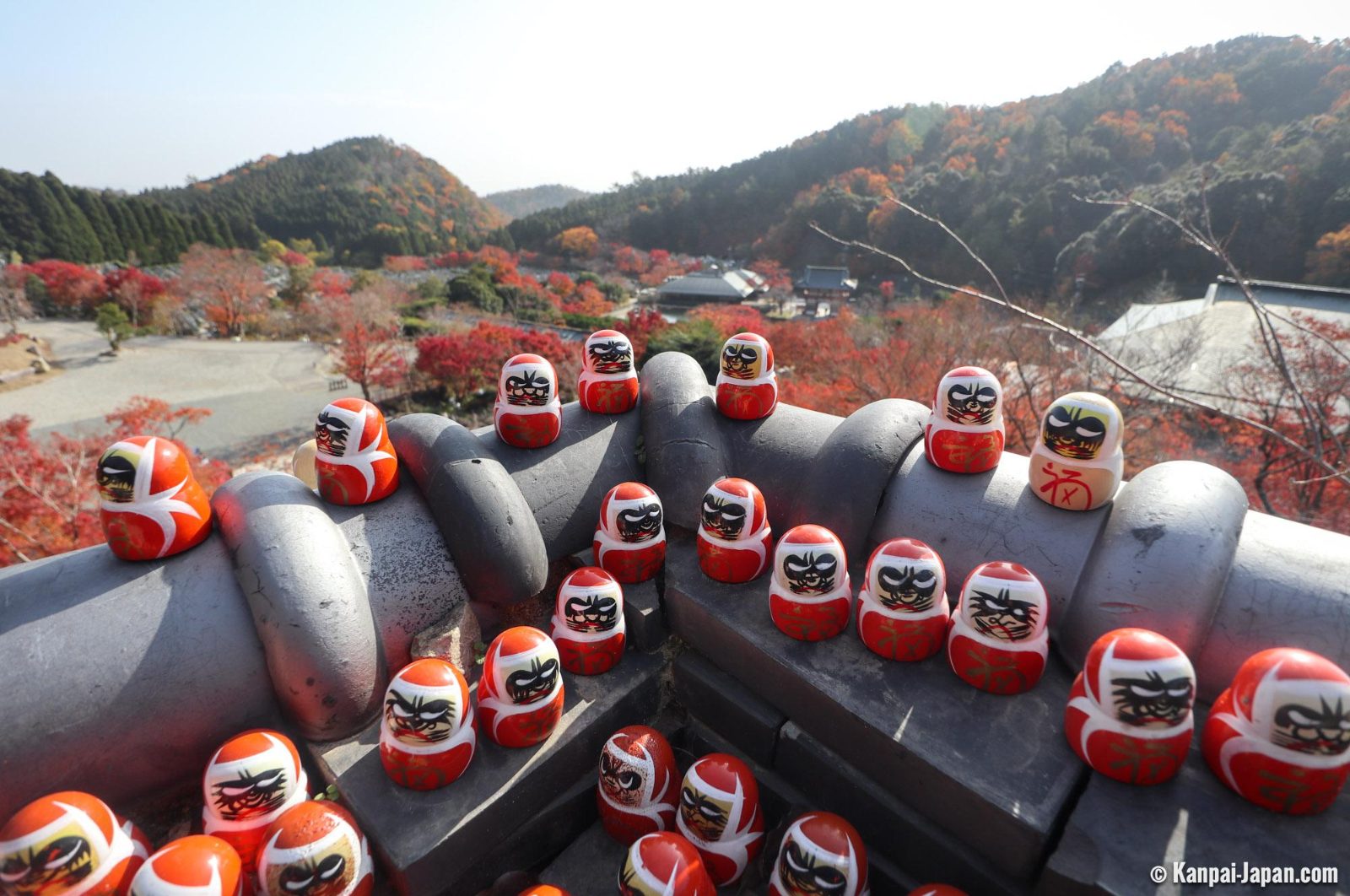 Kachi-Daruma Collection