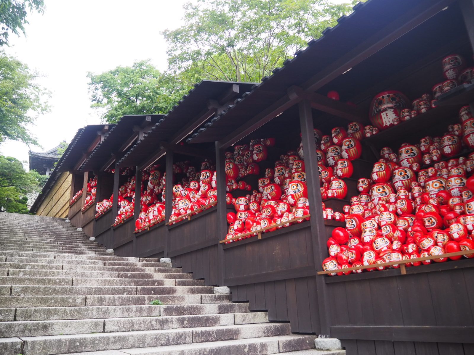 Your experience at Katsuoji Temple Tour