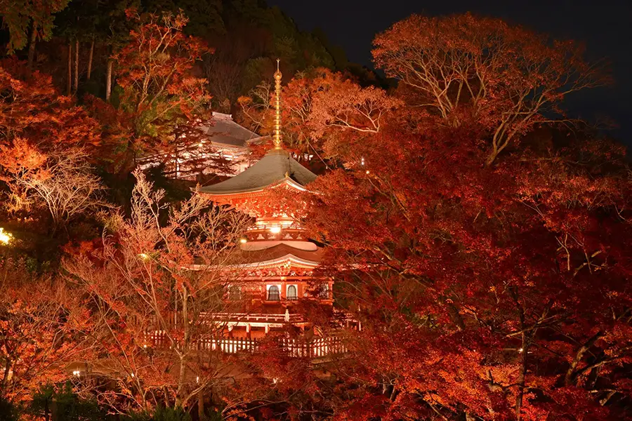 Katsuoji Temple Tour Through Minoh's Mountain Valley