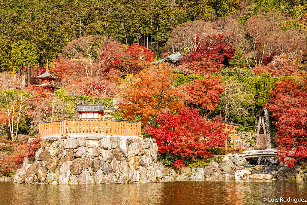 Temple Gardens