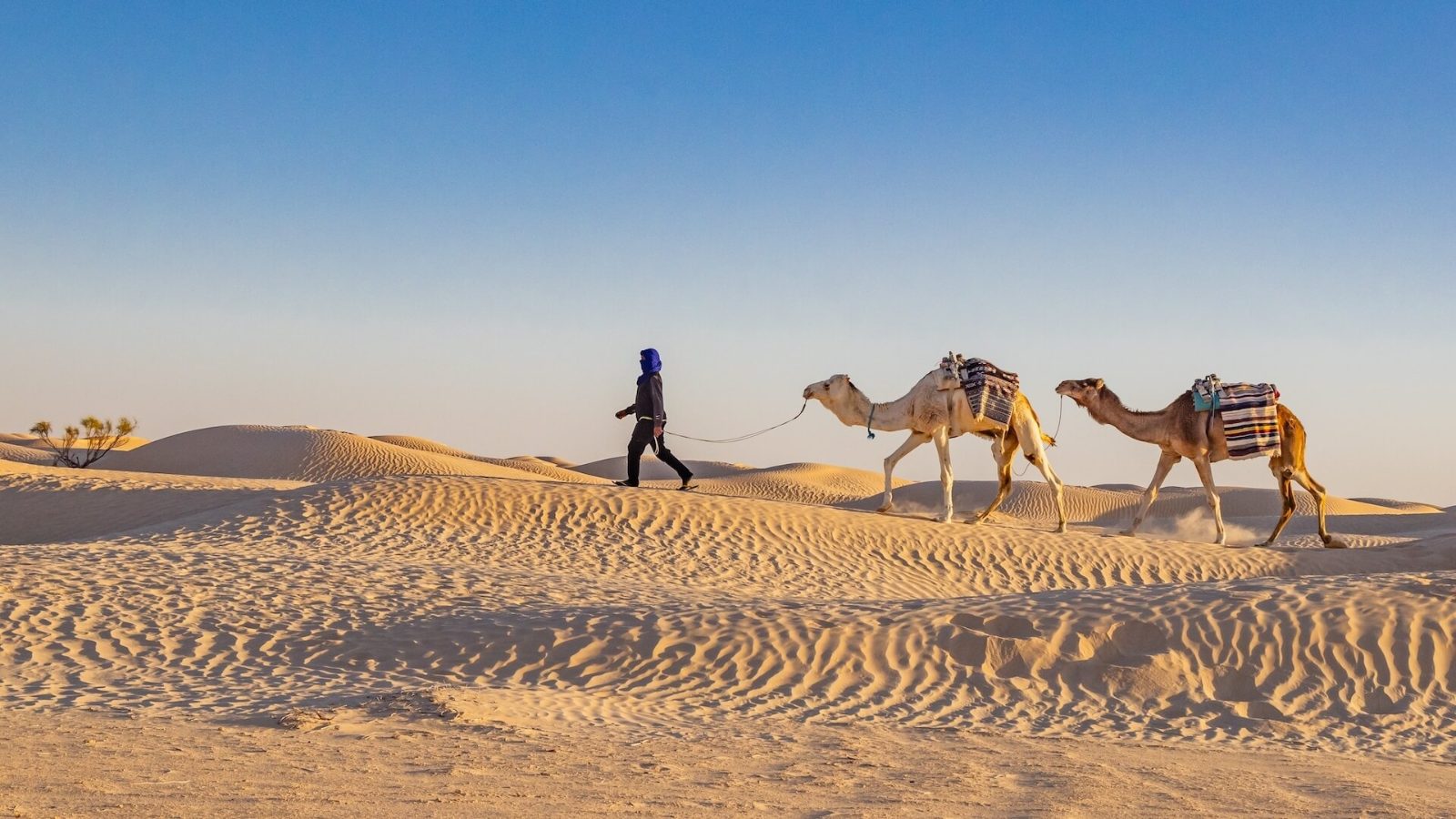 Tunisia Desert Tour