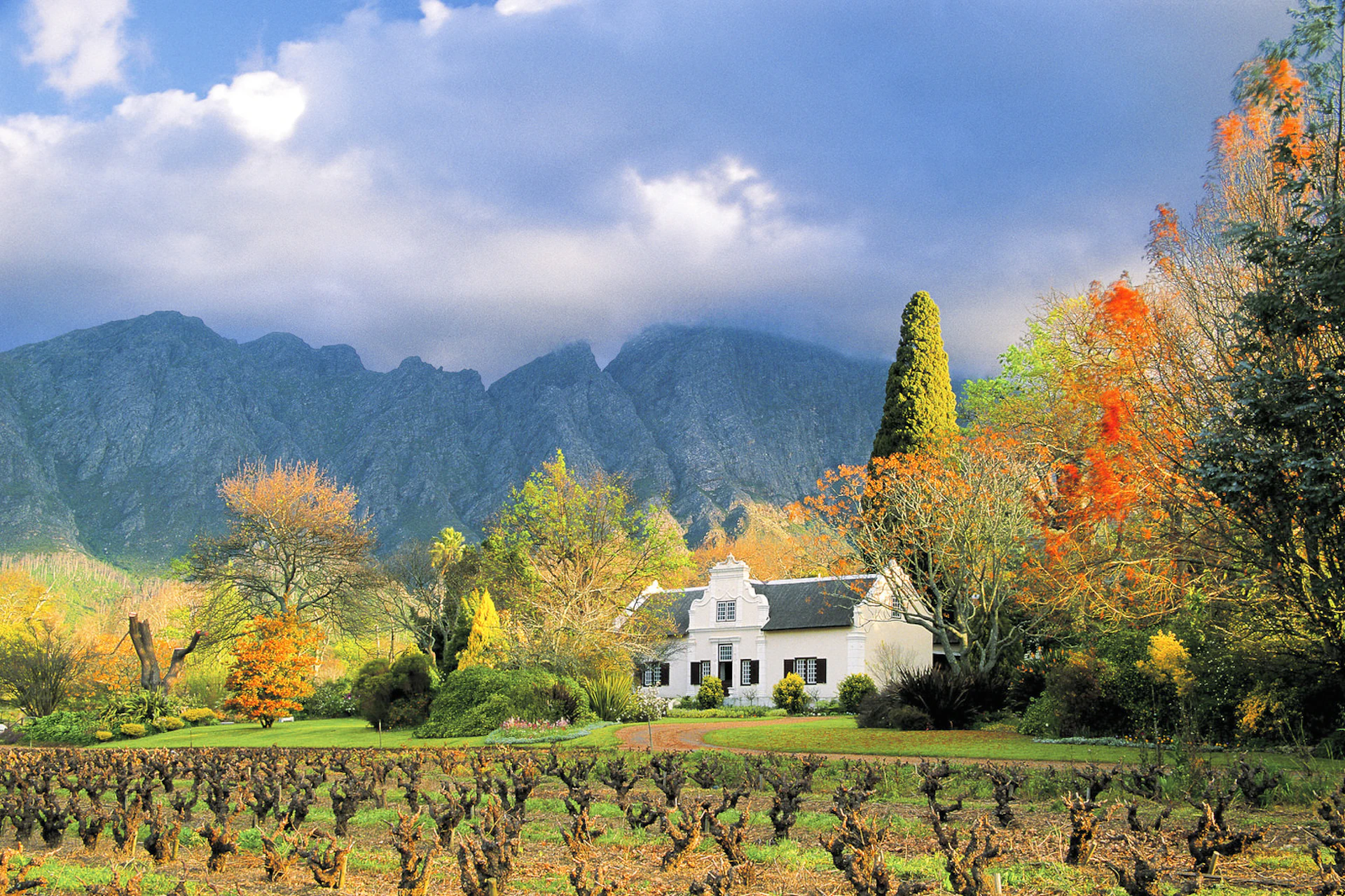 Franschhoek Wine Tour from Cape Town Essentials
