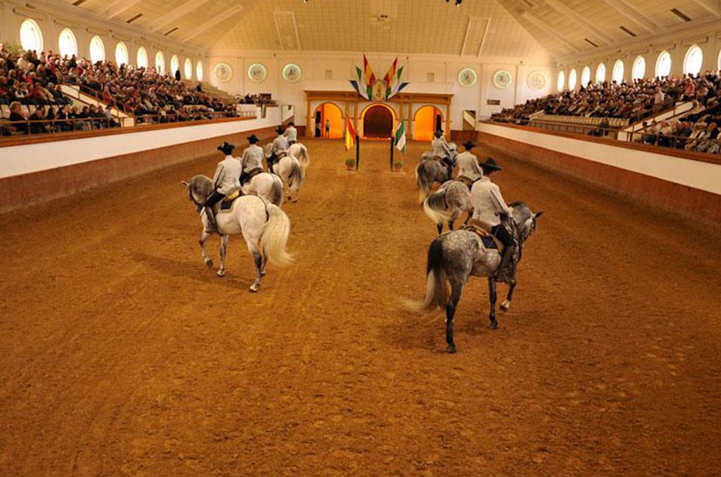 Your experience at Jerez Horse Show