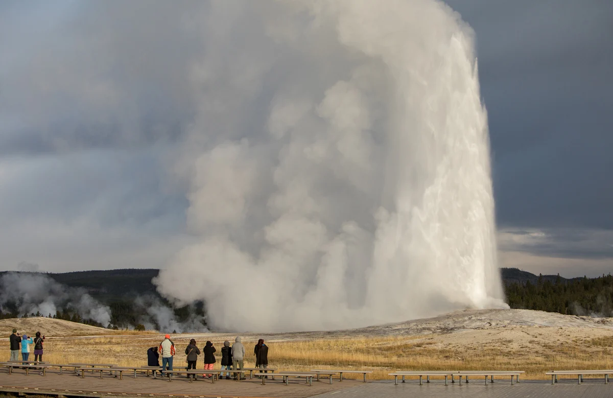 Your experience at Yellowstone Tours From Jackson Hole