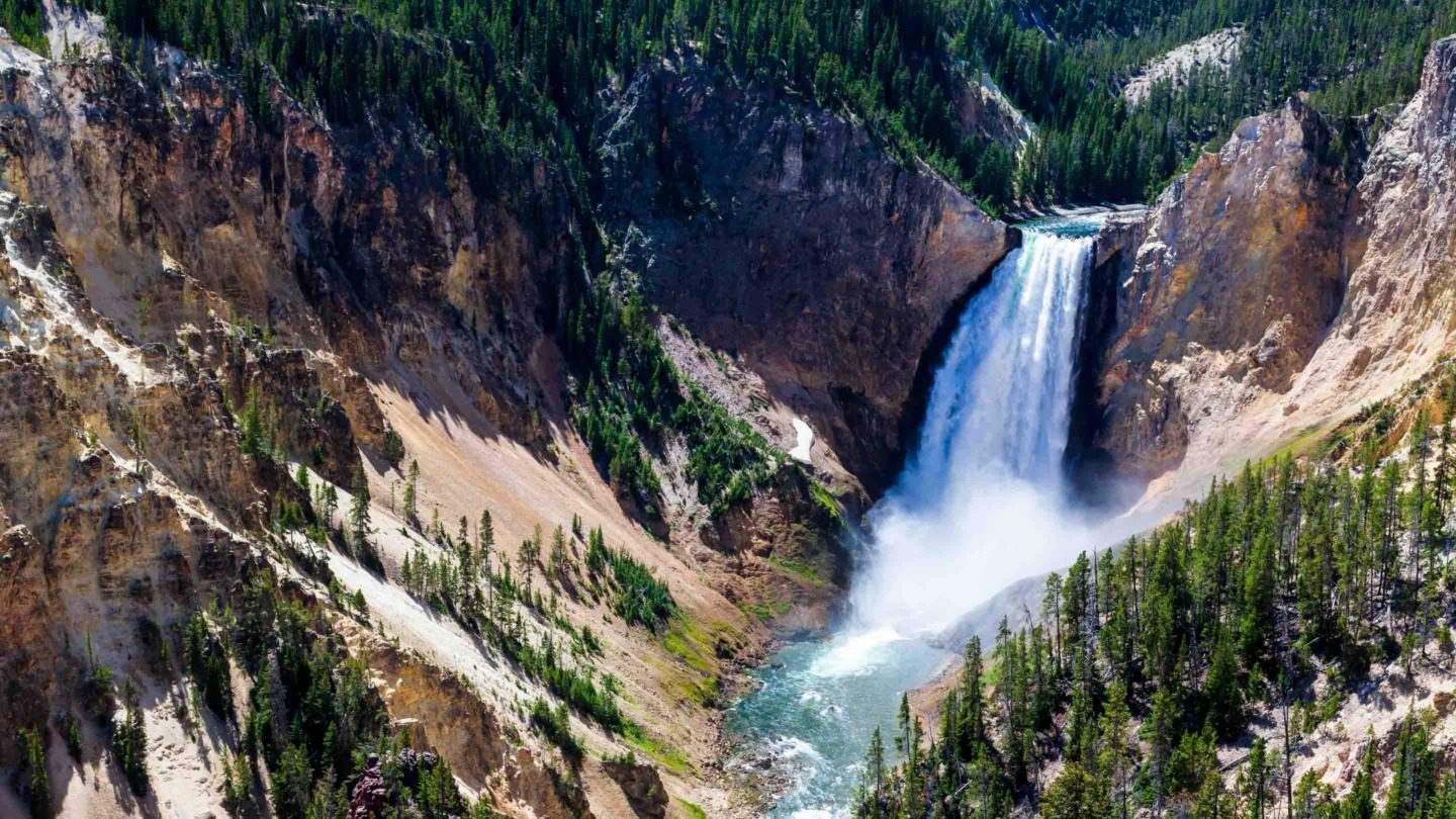 Yellowstone Tours From Jackson Hole