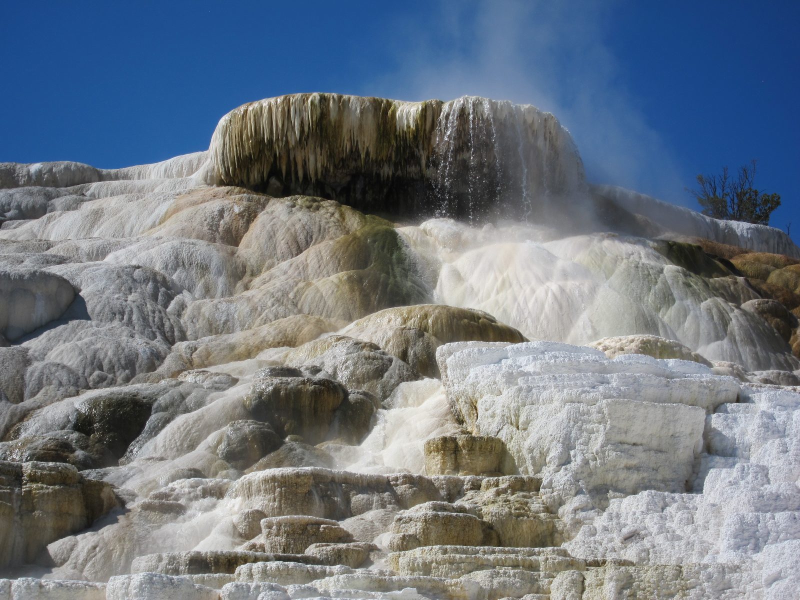 Mammoth Hot Springs