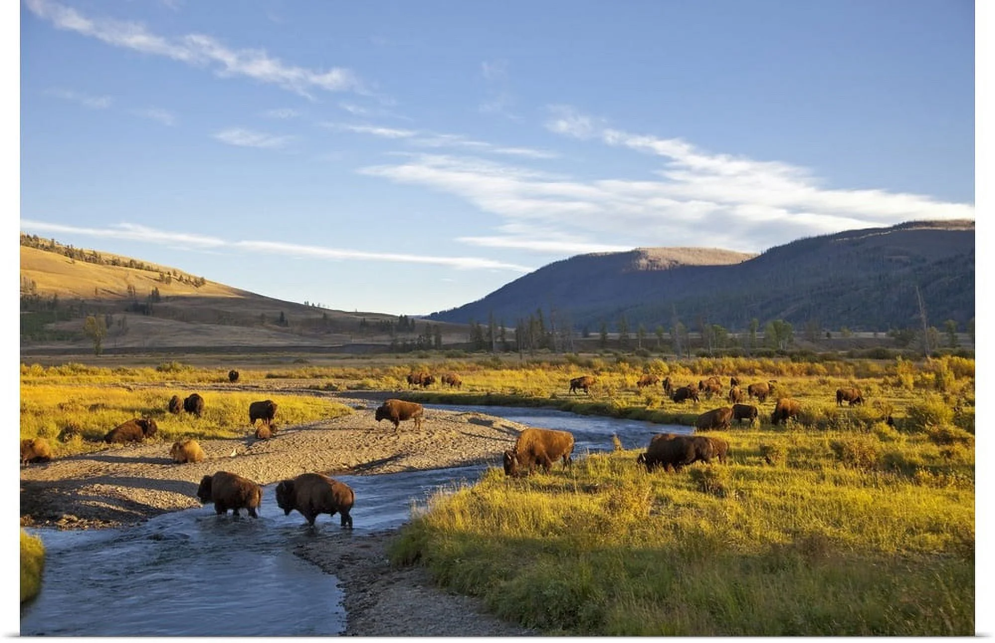 Lamar Valley
