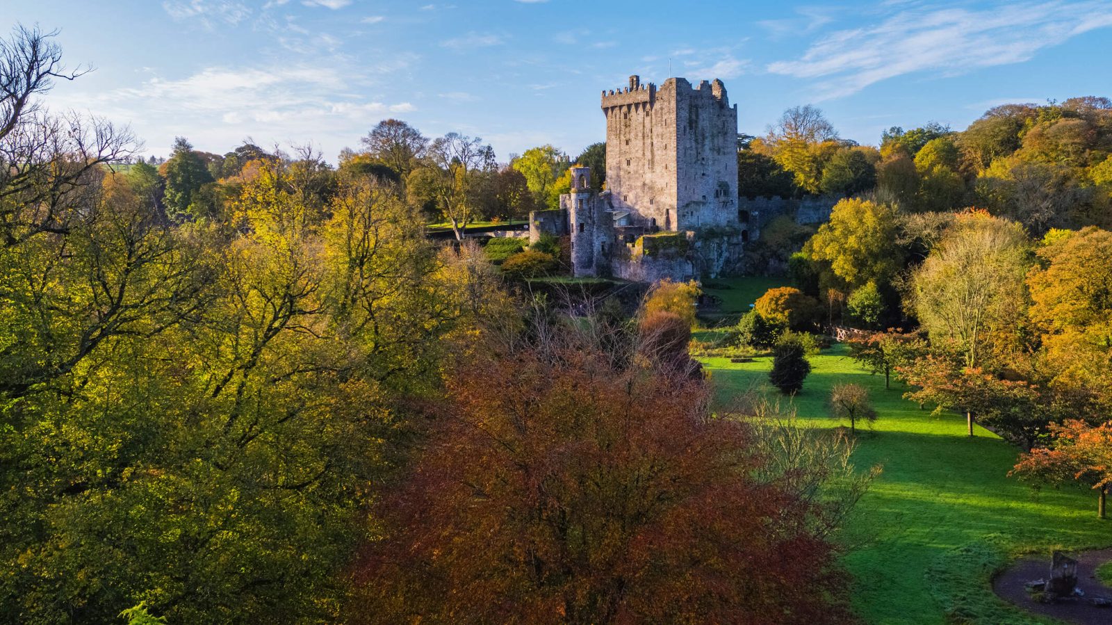 Blarney Castle Day Tour from Dublin Explained