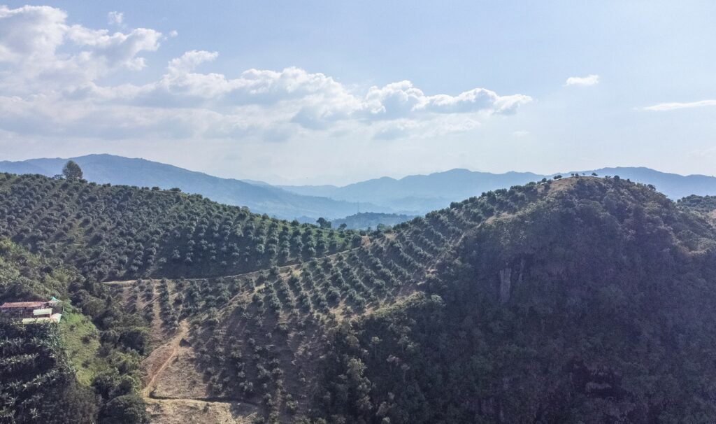 Medellin Coffee Tour in Antioquia's Green Hills