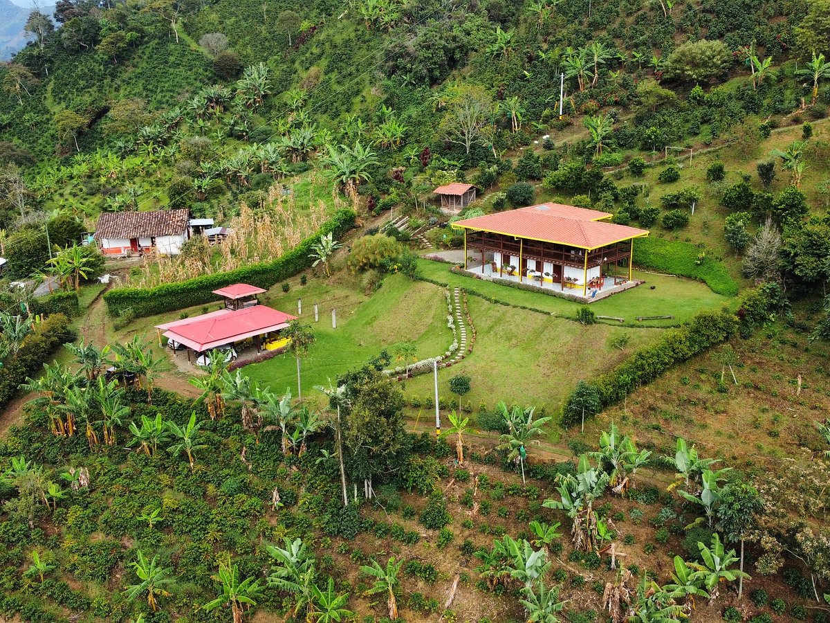 Coffee Plantation Walk